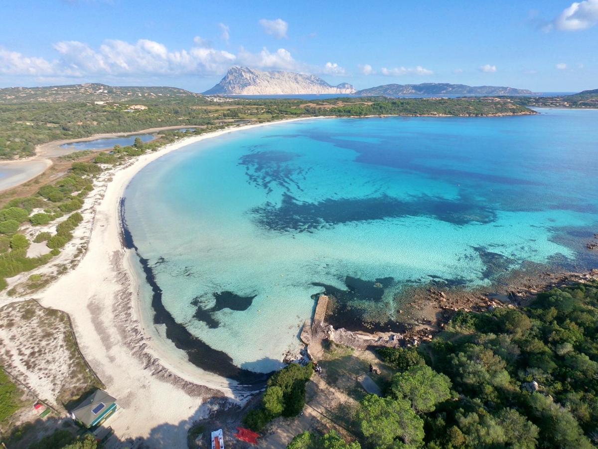 Iss Travel, Ambra Apartments - 800 M From La Cinta Beach Сан Теодоро Екстериор снимка